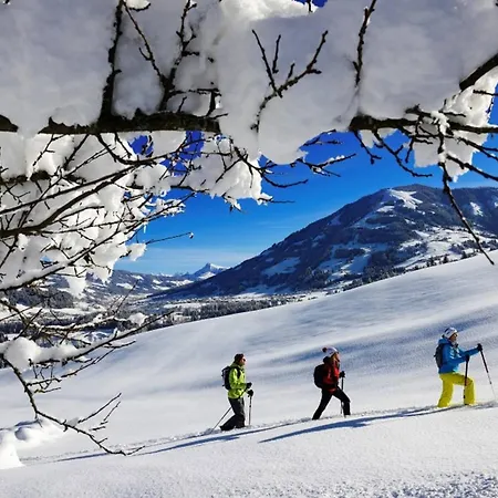 Marias Alpen By Alpine Host Helpers Appartement